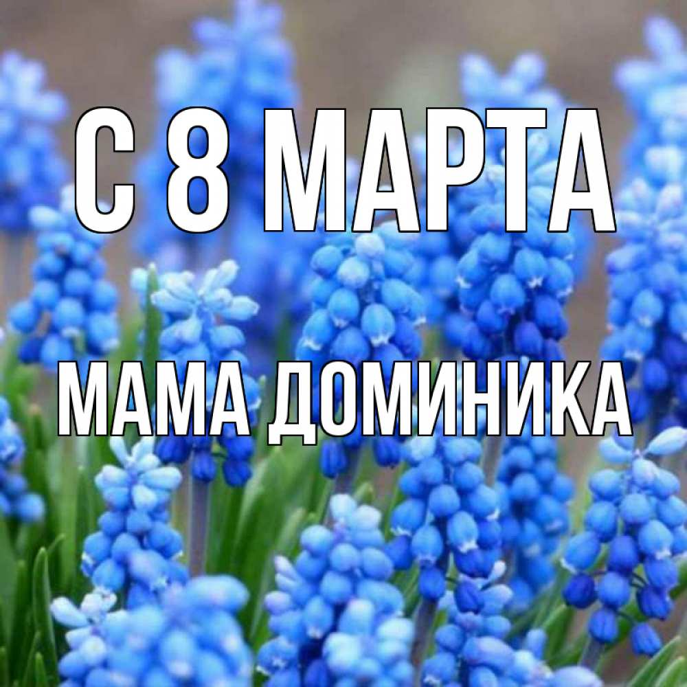 Открытка на каждый день с именем, Мама-Доминика С 8 МАРТА Поздравительная открытка для женщин с цветами на праздничную дату Прикольная открытка с пожеланием онлайн скачать бесплатно 