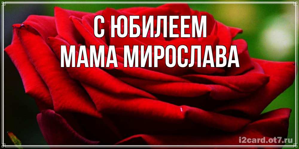 Открытка на каждый день с именем, Мама-Мирослава С юбилеем розочка очень красивая Прикольная открытка с пожеланием онлайн скачать бесплатно 