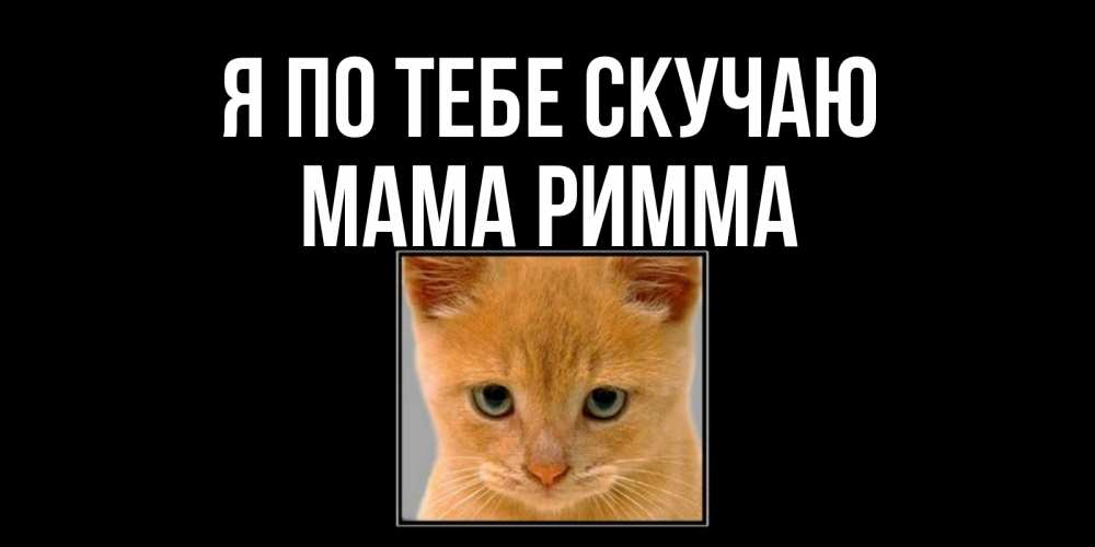 Открытка на каждый день с именем, Мама-Римма Я по тебе скучаю открытки рыжий котенок скучает по тебе Прикольная открытка с пожеланием онлайн скачать бесплатно 