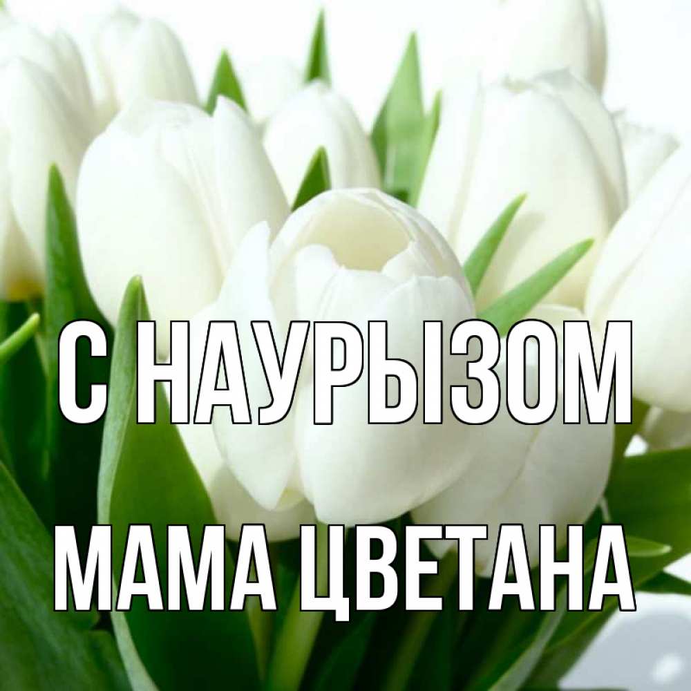 Открытка на каждый день с именем, Мама-Цветана С наурызом цветы Прикольная открытка с пожеланием онлайн скачать бесплатно 