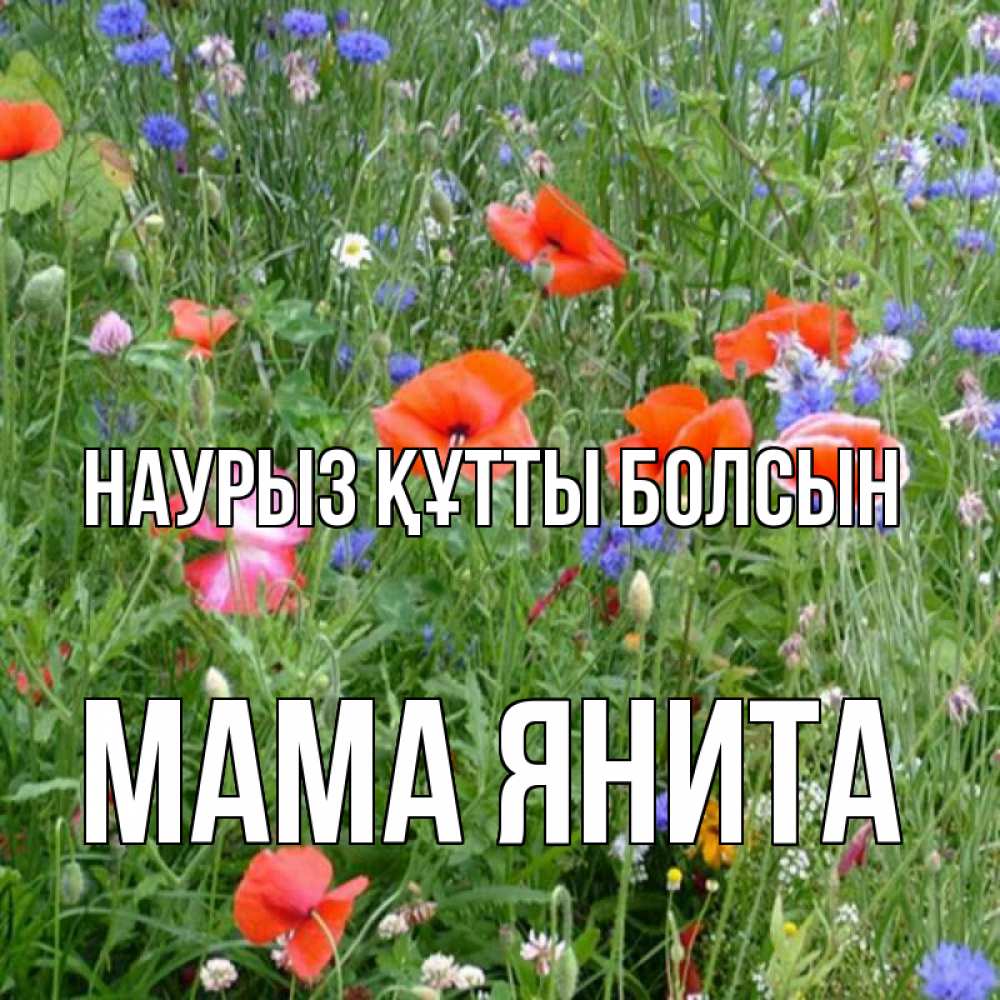 Открытка на каждый день с именем, Мама-Янита Наурыз құтты болсын наурыз  4 Прикольная открытка с пожеланием онлайн скачать бесплатно 