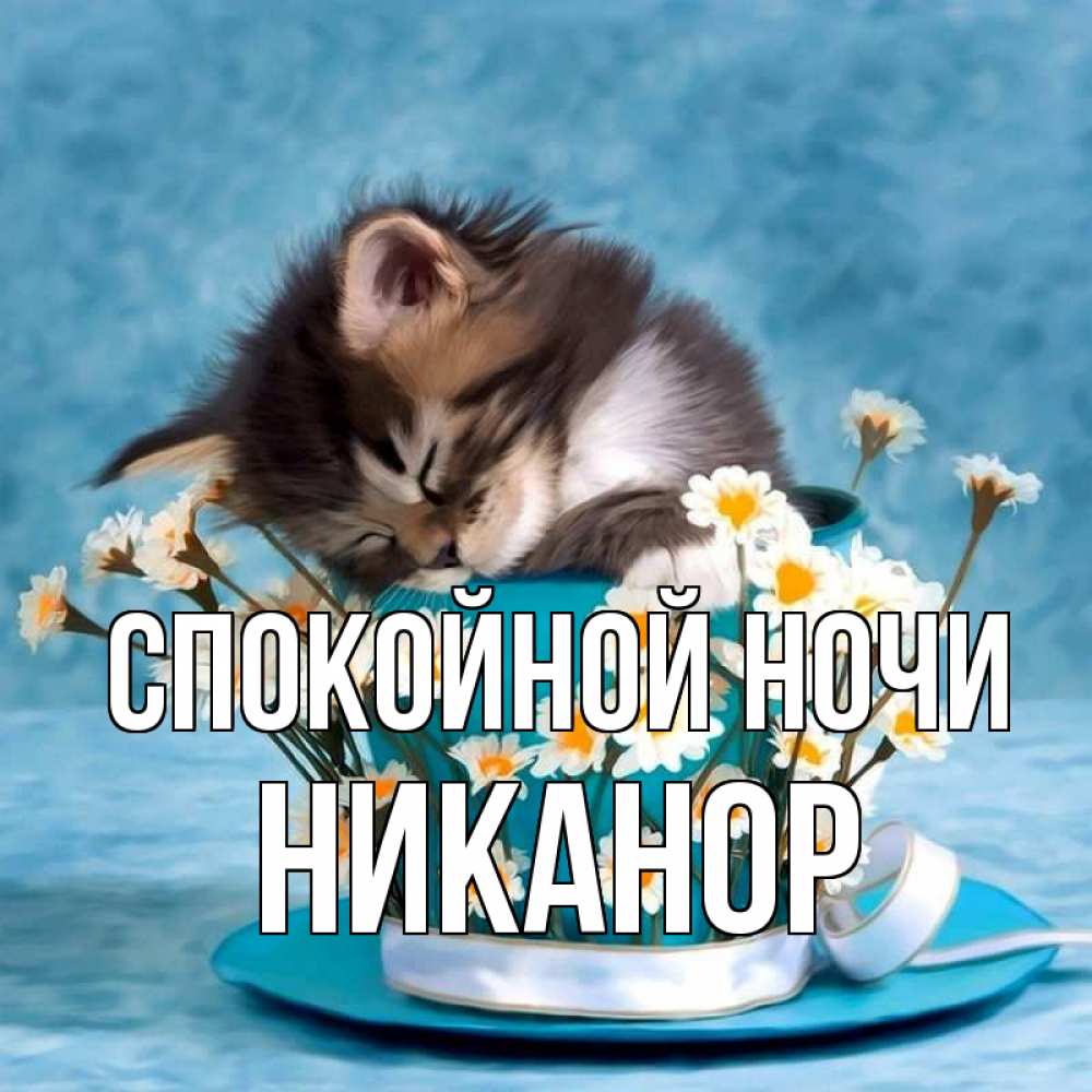 Открытка на каждый день с именем, Никанор Спокойной ночи котенок спит в кружке с блюдцем Прикольная открытка с пожеланием онлайн скачать бесплатно 