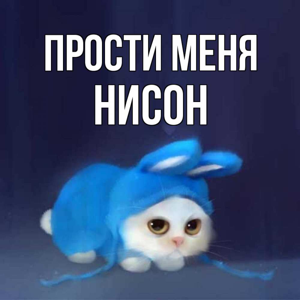 Открытка на каждый день с именем, Нисон Прости меня невинный котозай просит прощения Прикольная открытка с пожеланием онлайн скачать бесплатно 