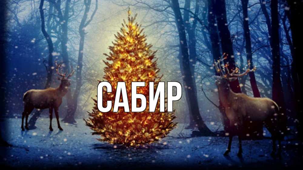 Открытка на каждый день с именем, Сабир Главная олени, новогодняя елка Прикольная открытка с пожеланием онлайн скачать бесплатно 