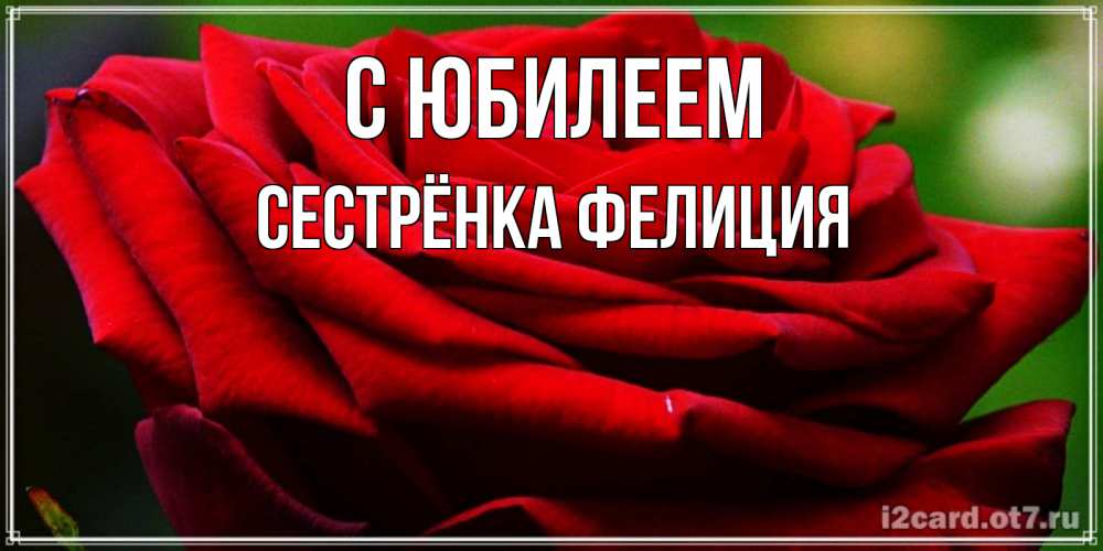 Открытка на каждый день с именем, Сестрёнка-Фелиция С юбилеем розочка очень красивая Прикольная открытка с пожеланием онлайн скачать бесплатно 