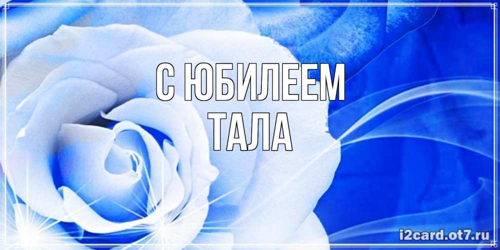 Открытка на каждый день с именем, Тала С юбилеем белая роза на голубом фоне Прикольная открытка с пожеланием онлайн скачать бесплатно 