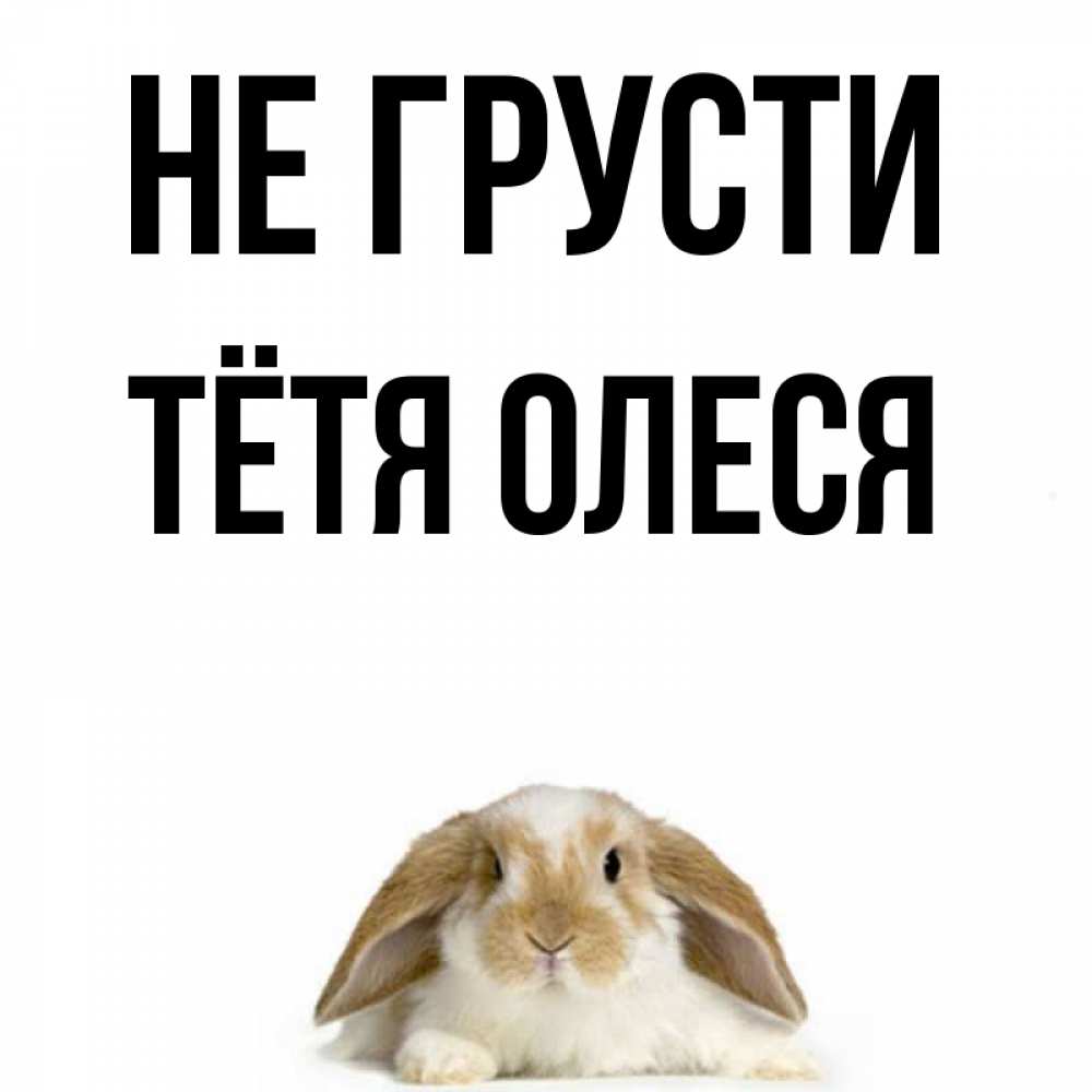 Открытка на каждый день с именем, Тётя-Олеся Не грусти коричнево белый заяц с большими ушками Прикольная открытка с пожеланием онлайн скачать бесплатно 