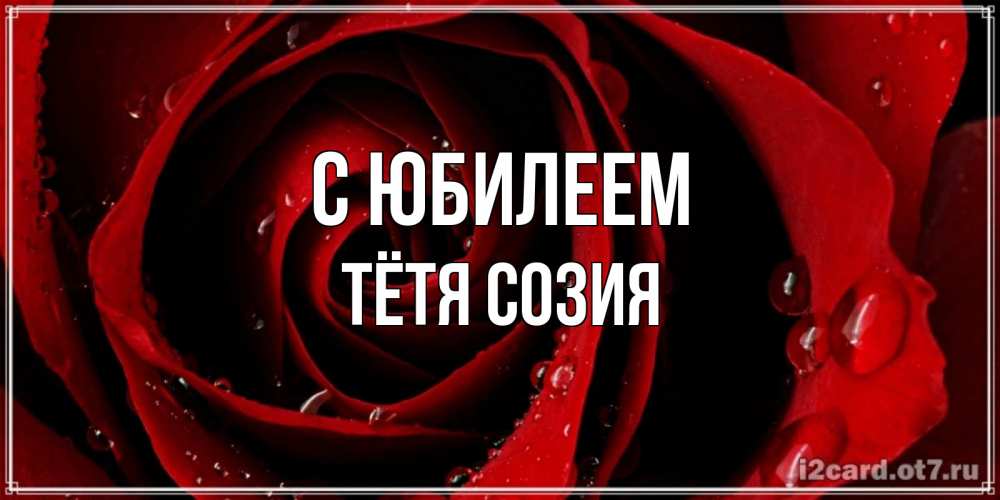 Открытка на каждый день с именем, Тётя-Созия С юбилеем крупная бордовая роза Прикольная открытка с пожеланием онлайн скачать бесплатно 