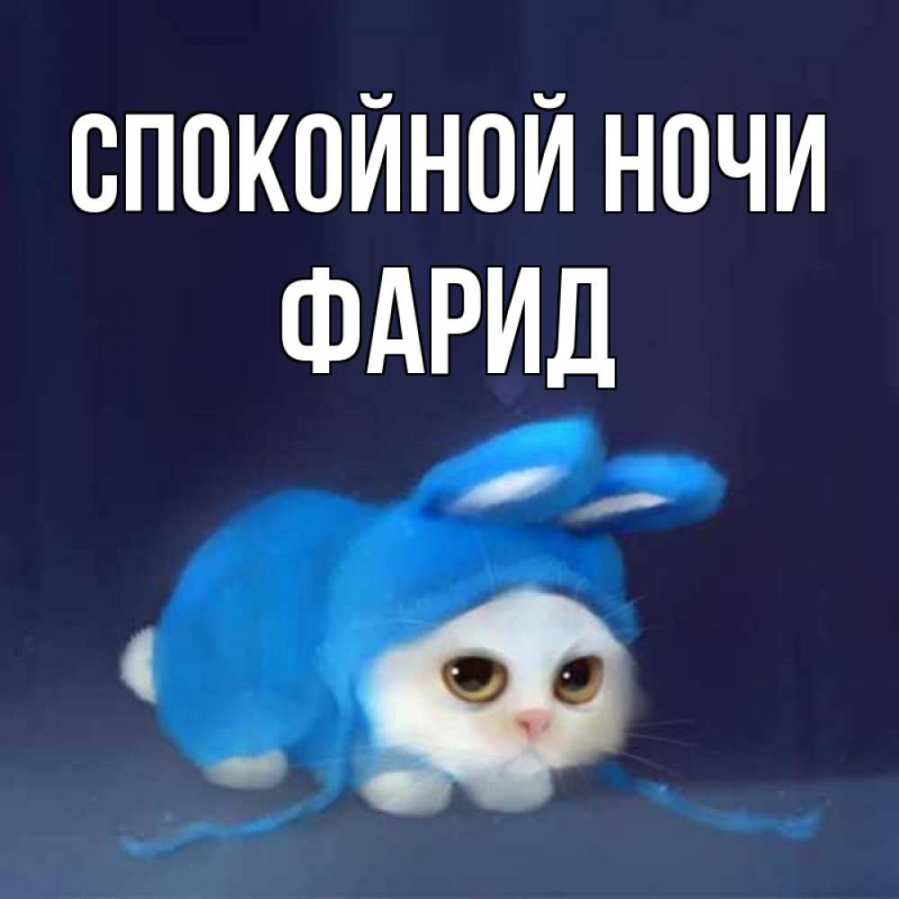 Открытка на каждый день с именем, Фарид Спокойной ночи кот в голубом костюме кролика с ушками Прикольная открытка с пожеланием онлайн скачать бесплатно 