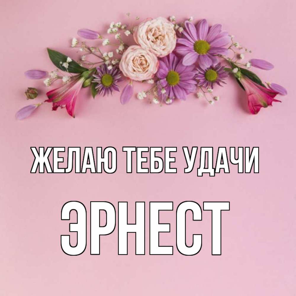 Открытка на каждый день с именем, Эрнест Желаю тебе удачи розовый фон Прикольная открытка с пожеланием онлайн скачать бесплатно 