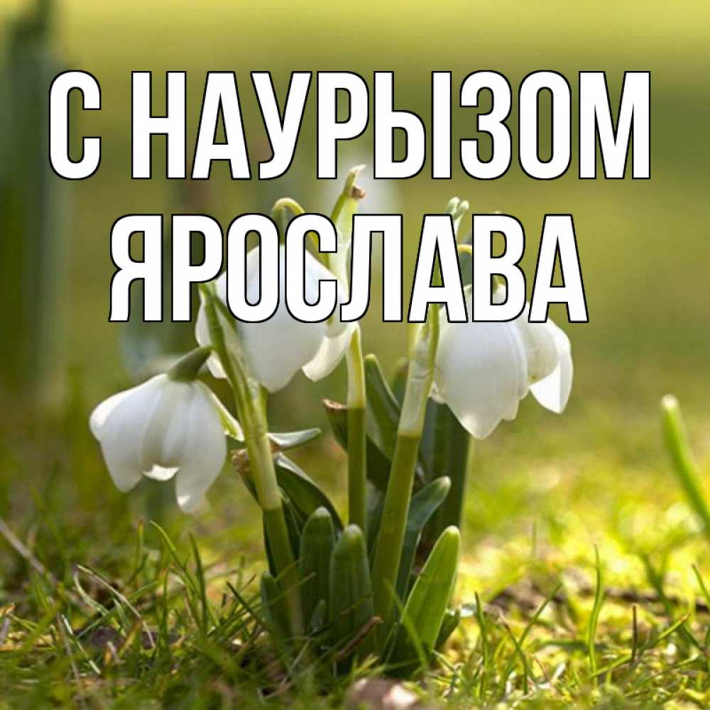 Открытка на каждый день с именем, Ярослава С наурызом ранние цветы 2 Прикольная открытка с пожеланием онлайн скачать бесплатно 