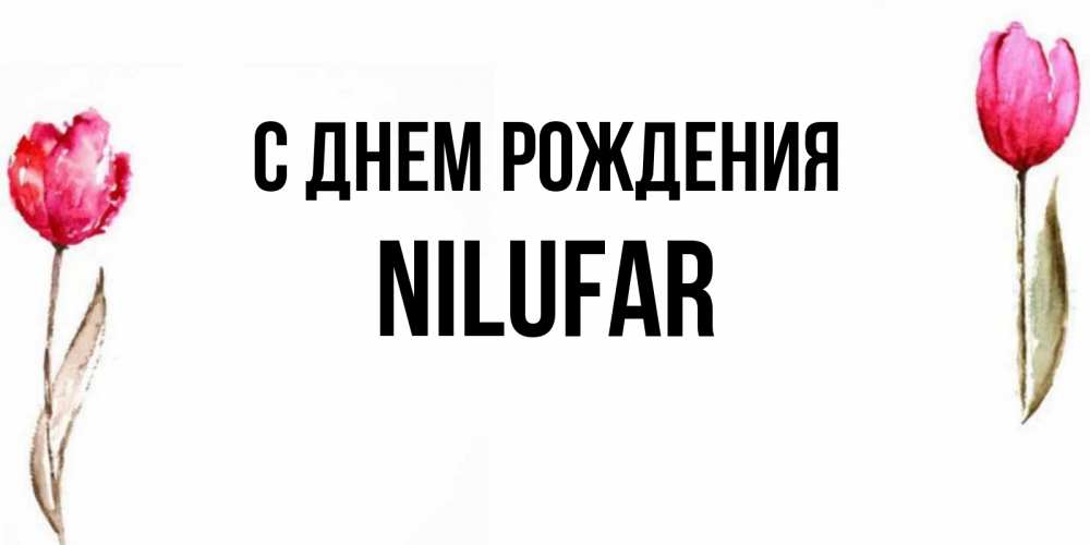 Нилуфар с днем рождения картинки красивые