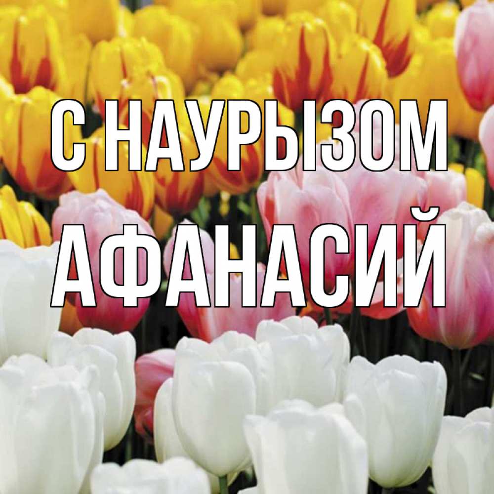 Открытка на каждый день с именем, Афанасий С наурызом разноцветные цветы Прикольная открытка с пожеланием онлайн скачать бесплатно 