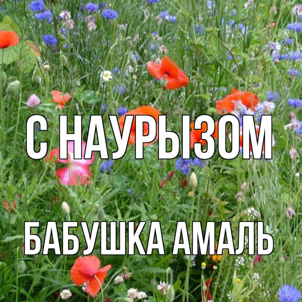 Открытка на каждый день с именем, Бабушка-Амаль С наурызом праздник весны наурыз супер открытка Прикольная открытка с пожеланием онлайн скачать бесплатно 