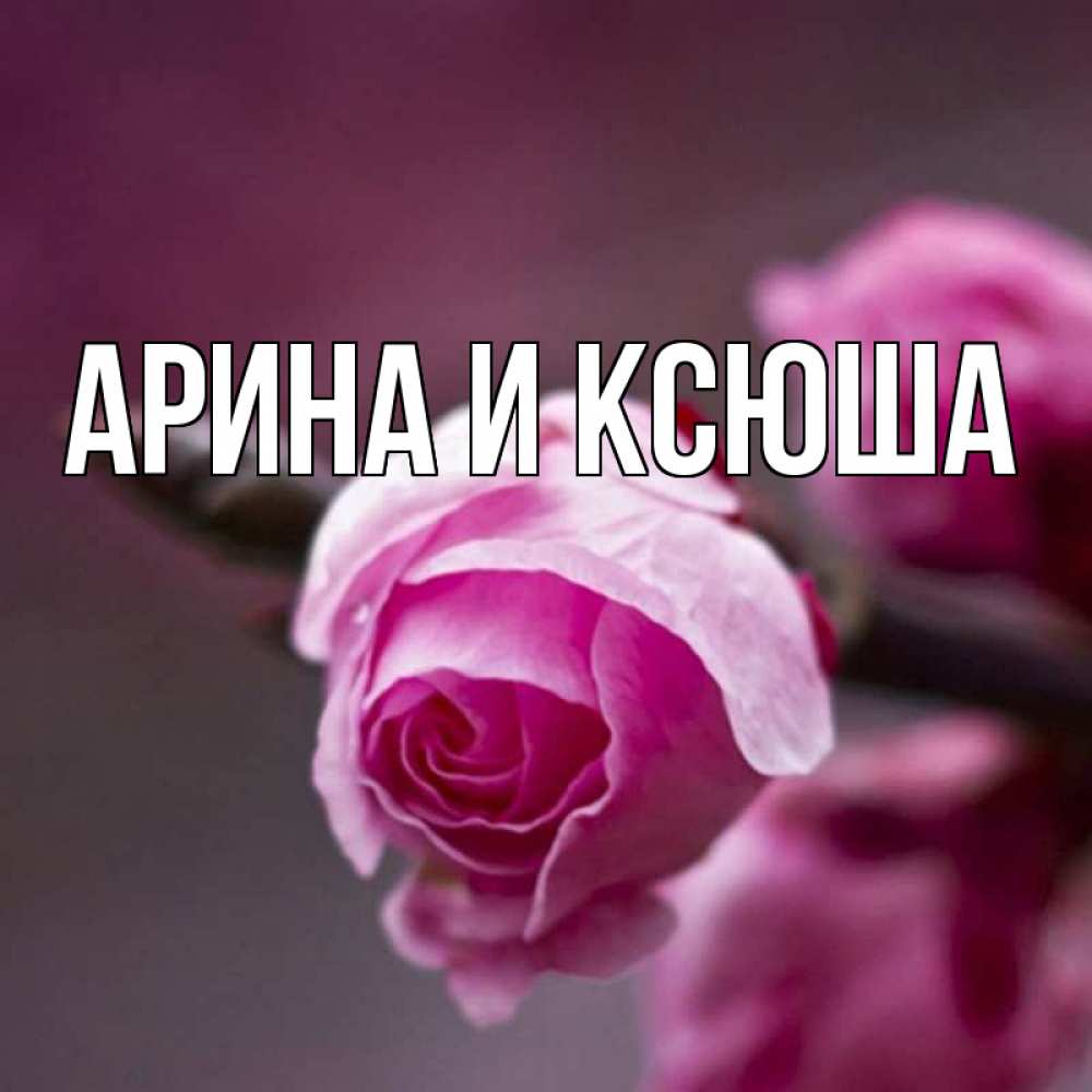 Открытка на каждый день с именем, Арина-и-Ксюша Главная весна Прикольная открытка с пожеланием онлайн скачать бесплатно 
