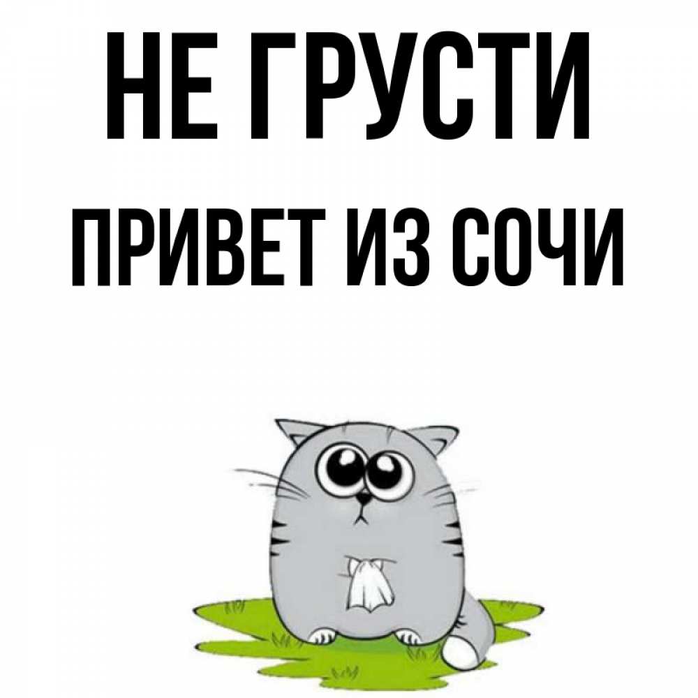 Привет Из Сочи