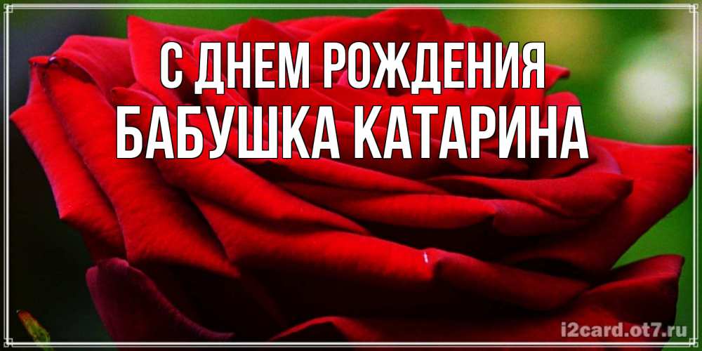Открытка на каждый день с именем, Бабушка-Катарина С днем рождения розочка очень красивая Прикольная открытка с пожеланием онлайн скачать бесплатно 