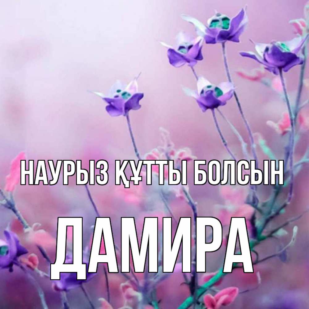 Открытка на каждый день с именем, Дамира Наурыз құтты болсын наурыз  2 Прикольная открытка с пожеланием онлайн скачать бесплатно 