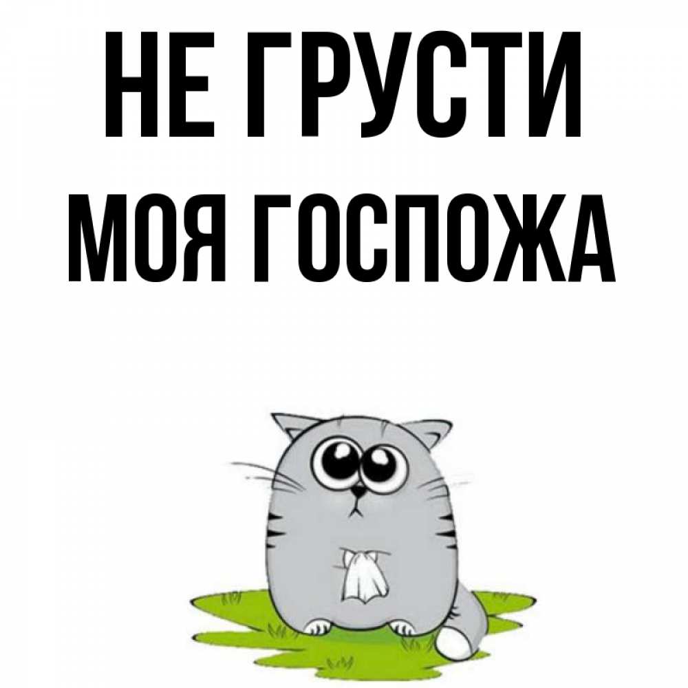 Не грустите мадам песня. Моя мадам песня. Не грустите мадам песня. Не грустите мадам песня. Не грустите мадам песня.