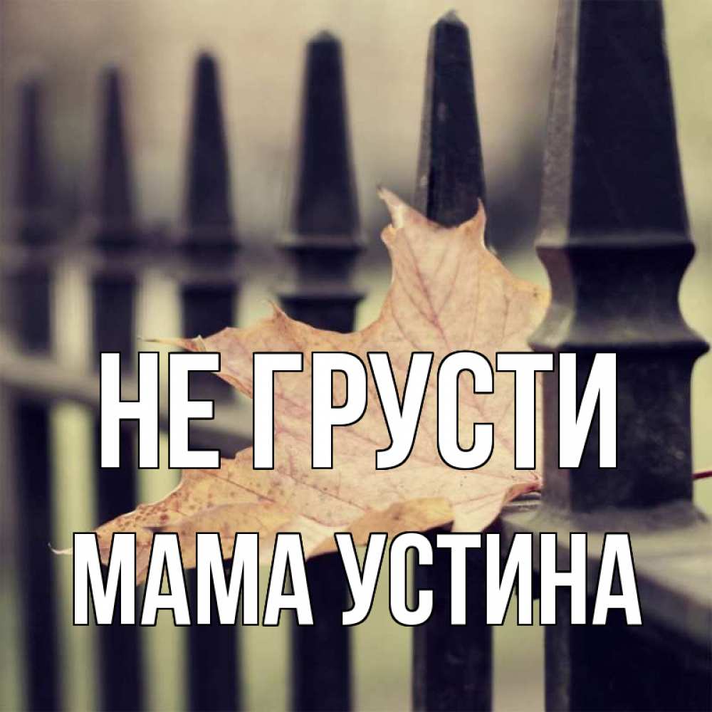 Открытка на каждый день с именем, Мама-Устина Не грусти лист клена Прикольная открытка с пожеланием онлайн скачать бесплатно 