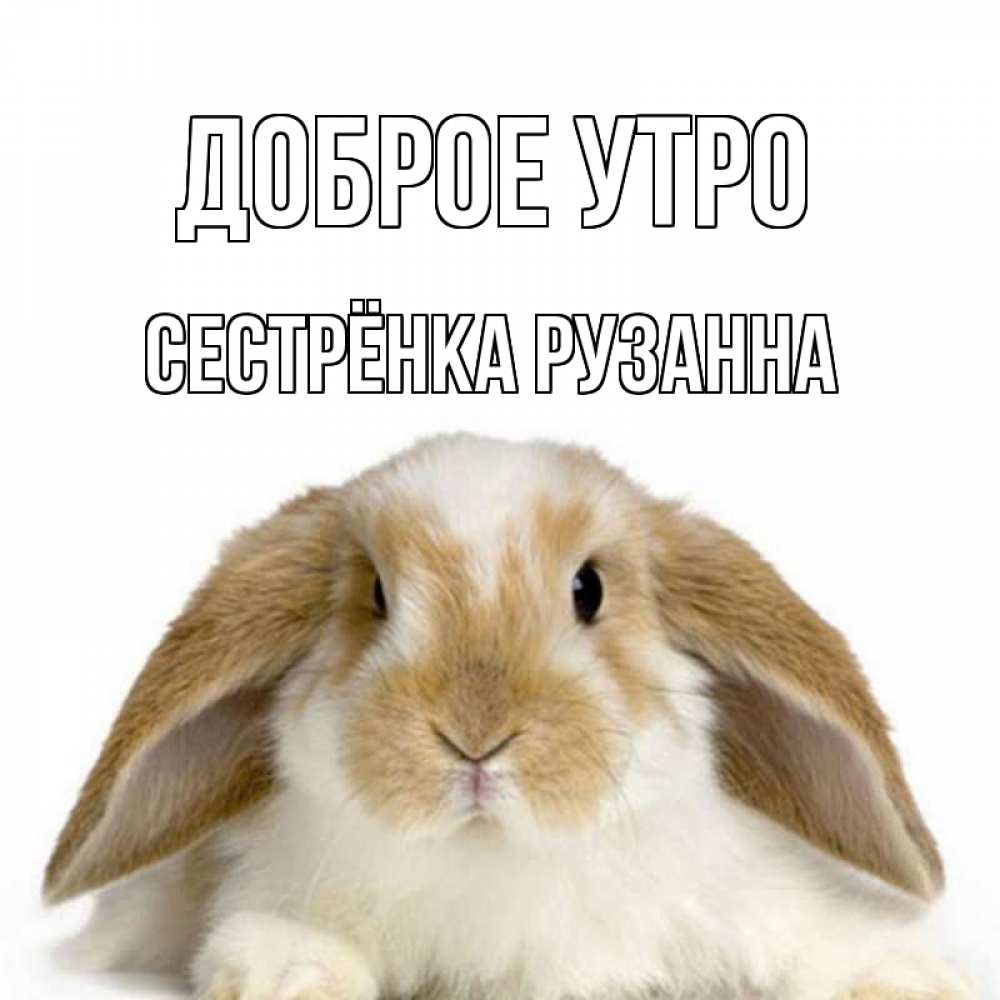 Открытка на каждый день с именем, Сестрёнка-Рузанна Доброе утро прикольные открытки на каждый день Прикольная открытка с пожеланием онлайн скачать бесплатно 