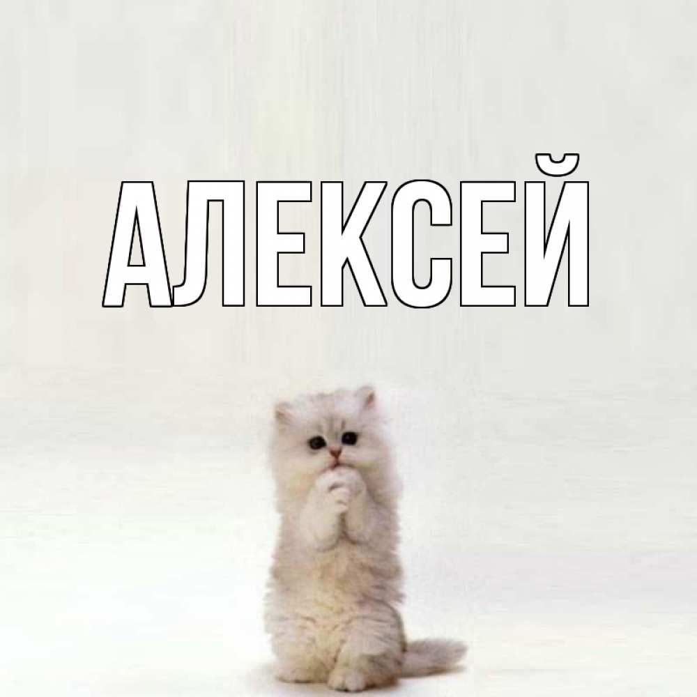 Прикольные, картинка с именем алексей прикольная