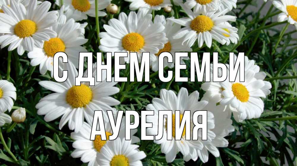 Открытка на каждый день с именем, Аурелия С днем семьи с днем семьи Прикольная открытка с пожеланием онлайн скачать бесплатно 