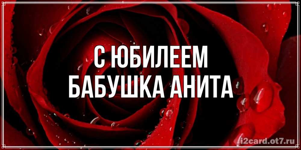 Открытка на каждый день с именем, Бабушка-Анита С юбилеем крупная бордовая роза Прикольная открытка с пожеланием онлайн скачать бесплатно 
