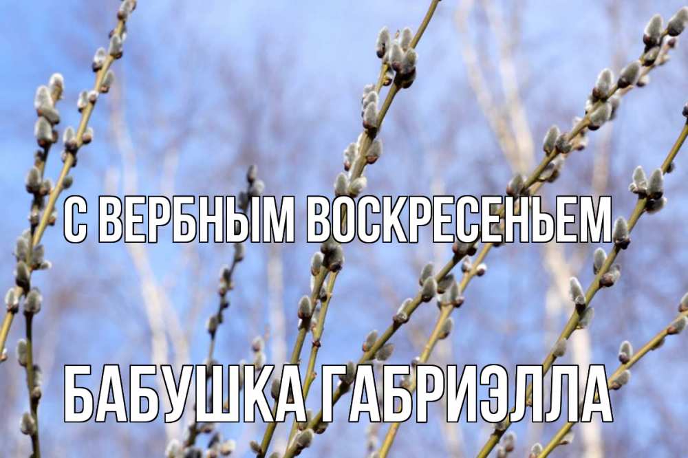 Открытка на каждый день с именем, Бабушка-Габриэлла С вербным воскресеньем верба Прикольная открытка с пожеланием онлайн скачать бесплатно 