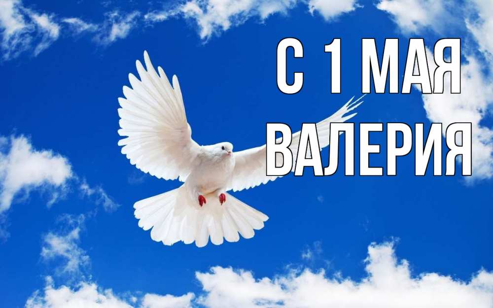 Открытка на каждый день с именем, Валерия С 1 мая С 1 мая 1 Прикольная открытка с пожеланием онлайн скачать бесплатно 