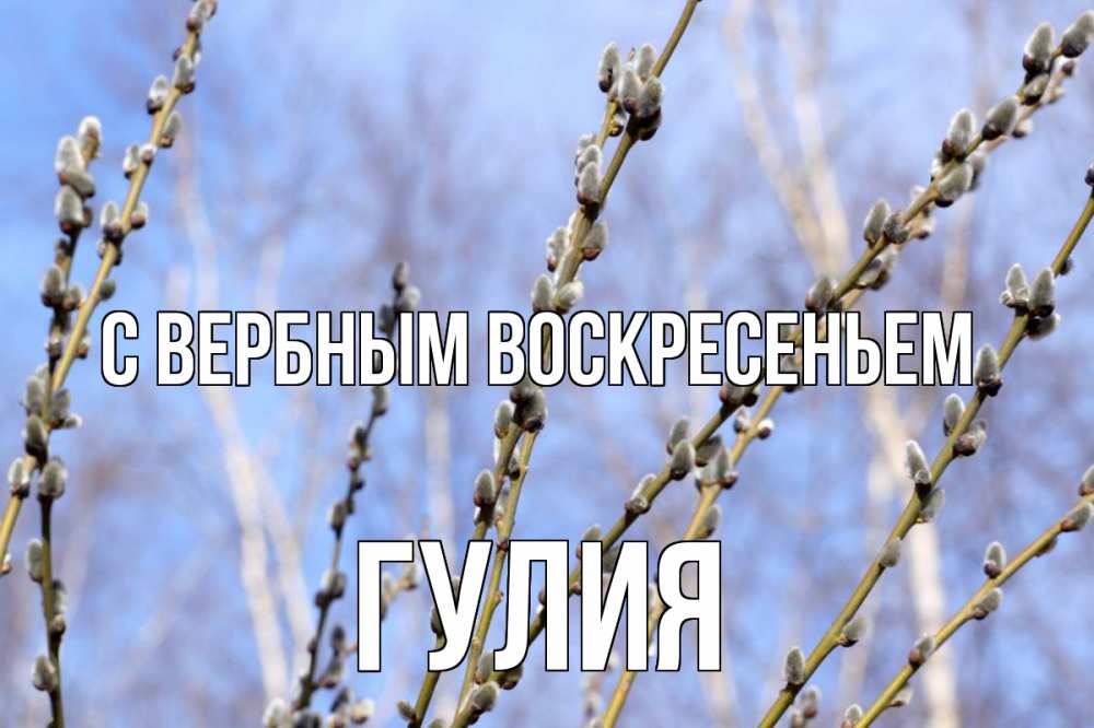 Открытка на каждый день с именем, Гулия С вербным воскресеньем верба Прикольная открытка с пожеланием онлайн скачать бесплатно 