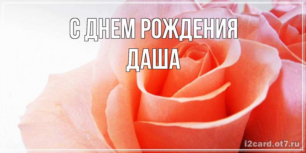 Открытка на каждый день с именем, Даша С днем рождения розы для поздравления с днем рождения Прикольная открытка с пожеланием онлайн скачать бесплатно 