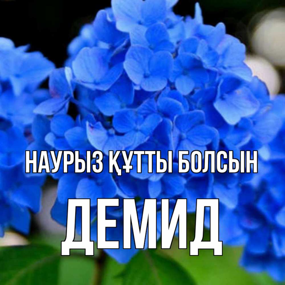 Открытка на каждый день с именем, Демид Наурыз құтты болсын синие цветы Прикольная открытка с пожеланием онлайн скачать бесплатно 