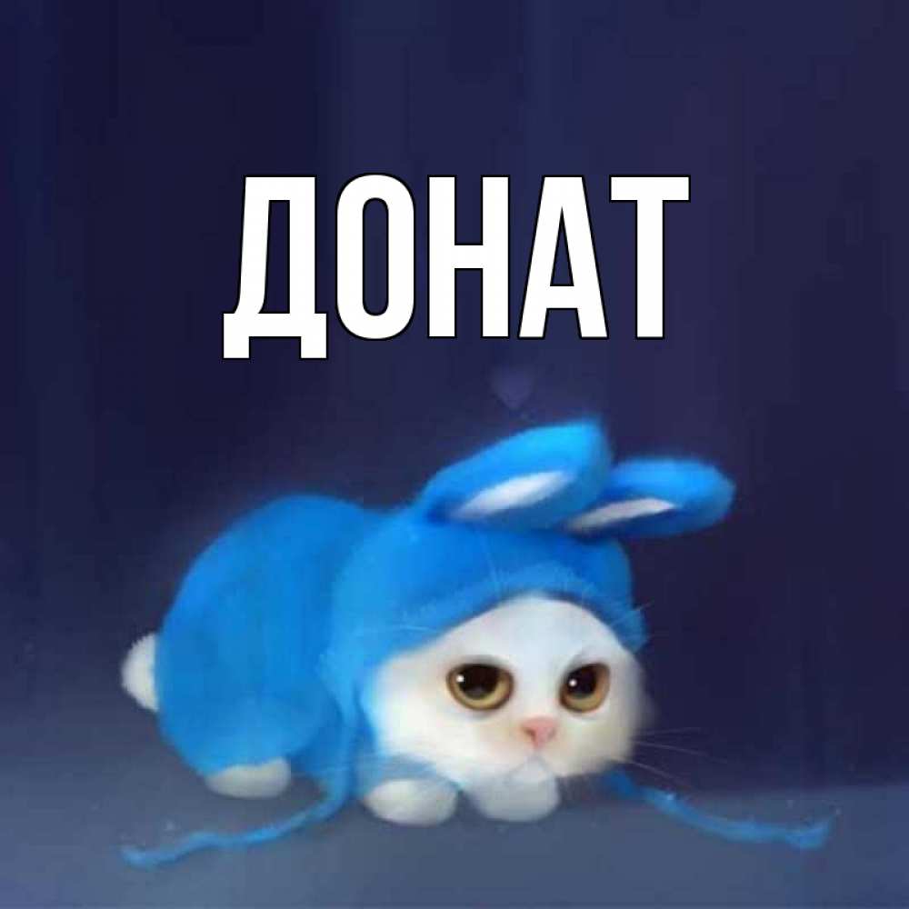 Открытка на каждый день с именем, Донат Главная невинный котозай просит прощения Прикольная открытка с пожеланием онлайн скачать бесплатно 