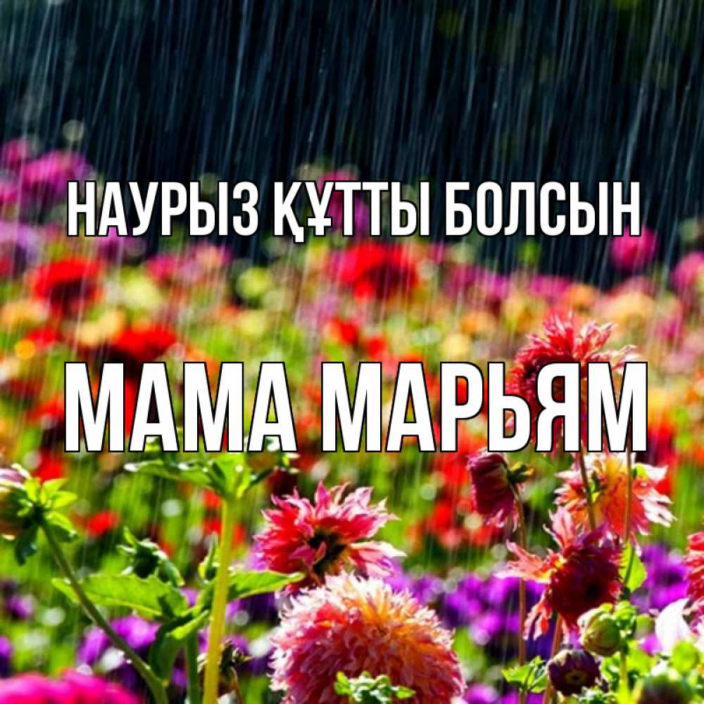 Открытка на каждый день с именем, Мама-Марьям Наурыз құтты болсын цветы под дождиком к наурызу Прикольная открытка с пожеланием онлайн скачать бесплатно 
