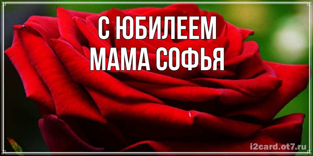 Открытка на каждый день с именем, Мама-Софья С юбилеем розочка очень красивая Прикольная открытка с пожеланием онлайн скачать бесплатно 