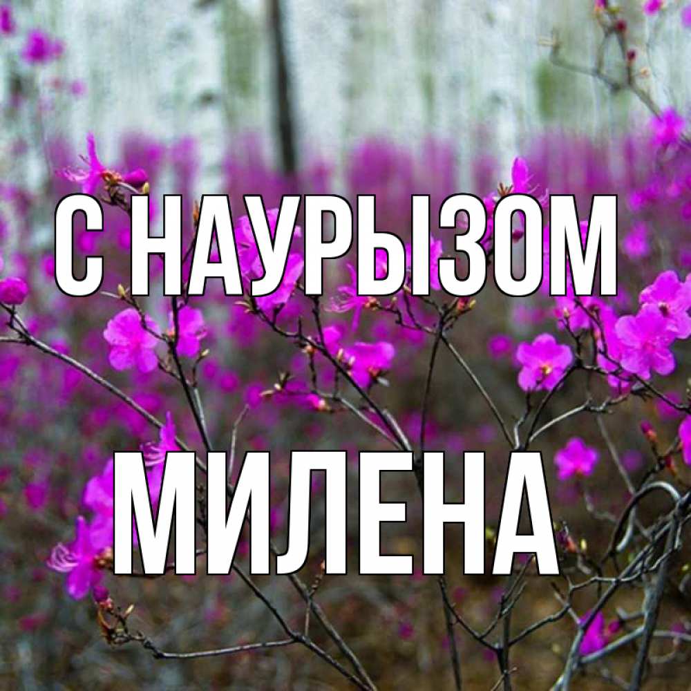Открытка на каждый день с именем, Милена С наурызом дикие цветы Прикольная открытка с пожеланием онлайн скачать бесплатно 