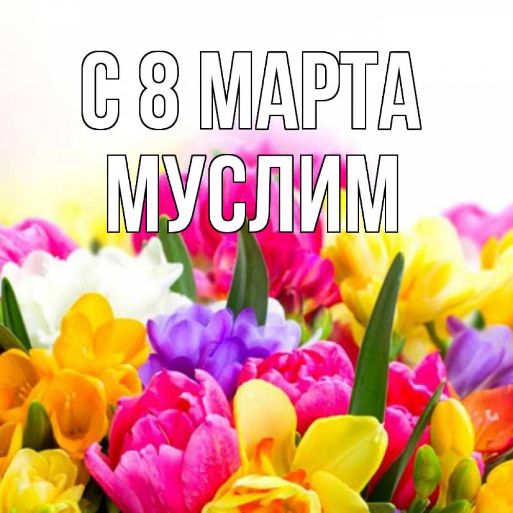 Открытка на каждый день с именем, Муслим С 8 марта тюльпаны Прикольная открытка с пожеланием онлайн скачать бесплатно 