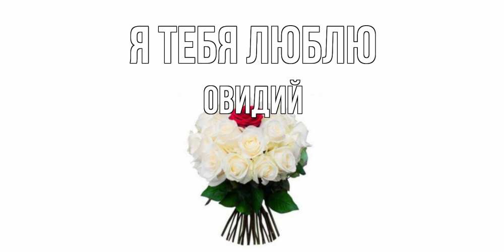 Открытка на каждый день с именем, Овидий Я тебя люблю единственная Прикольная открытка с пожеланием онлайн скачать бесплатно 
