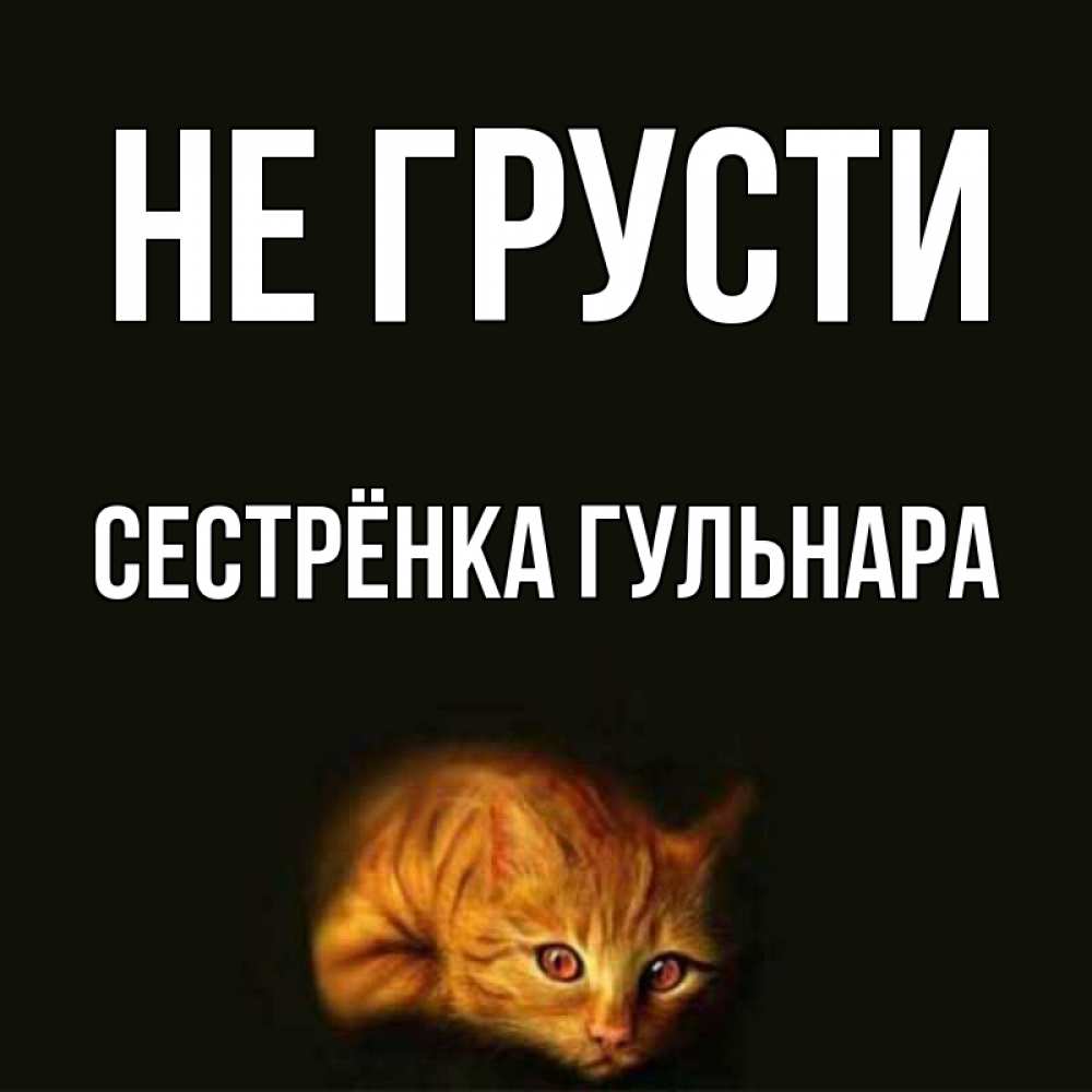 Открытка на каждый день с именем, Сестрёнка-Гульнара Не грусти лежащий кот в темноте Прикольная открытка с пожеланием онлайн скачать бесплатно 