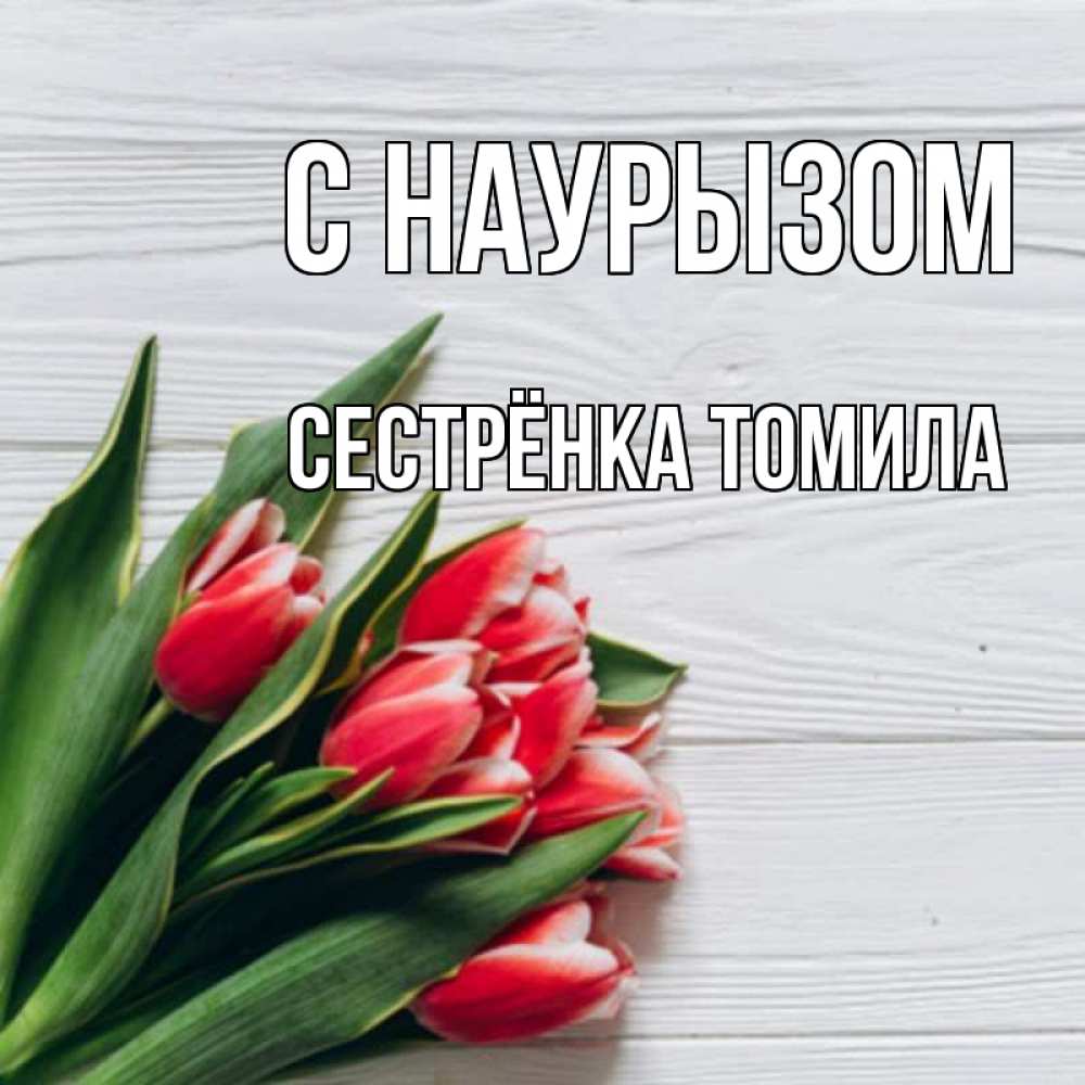 Открытка на каждый день с именем, Сестрёнка-Томила С наурызом весна 2 Прикольная открытка с пожеланием онлайн скачать бесплатно 