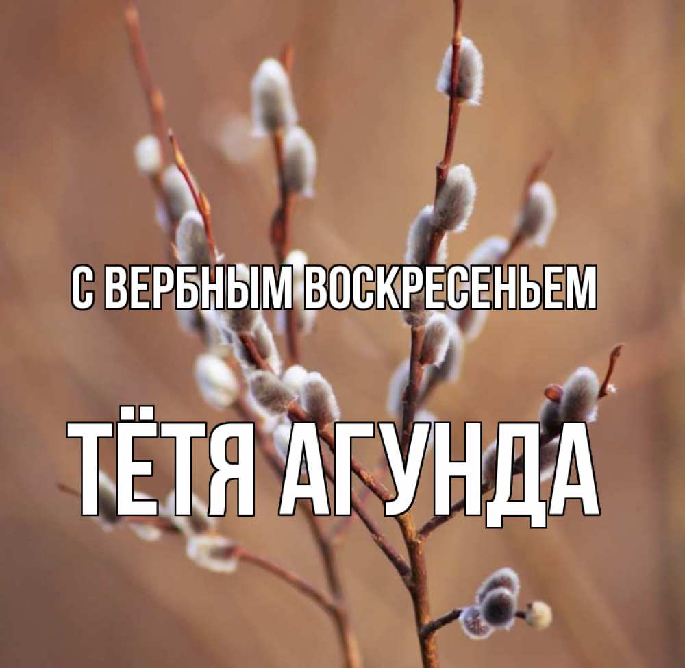 Открытка на каждый день с именем, Тётя-Агунда С вербным воскресеньем верба Прикольная открытка с пожеланием онлайн скачать бесплатно 