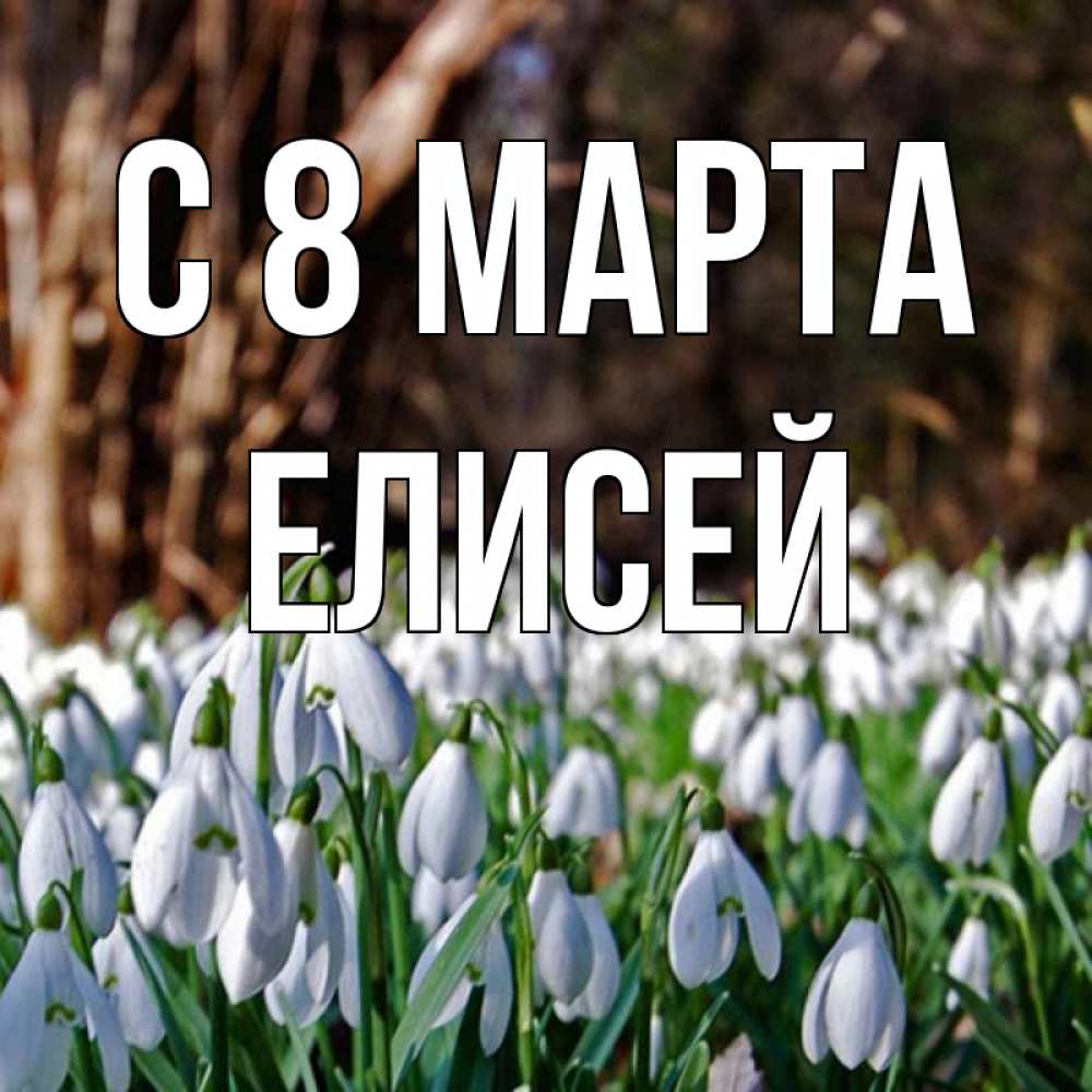 Открытка на каждый день с именем, Елисей С 8 МАРТА с подснежниками 1 Прикольная открытка с пожеланием онлайн скачать бесплатно 