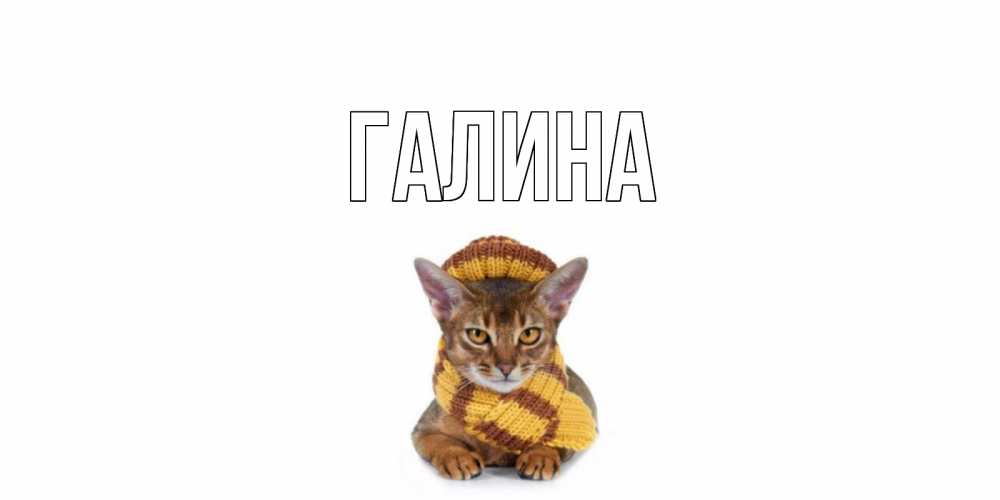 Открытка на каждый день с именем, Галина Главная родные не болейте Прикольная открытка с пожеланием онлайн скачать бесплатно 