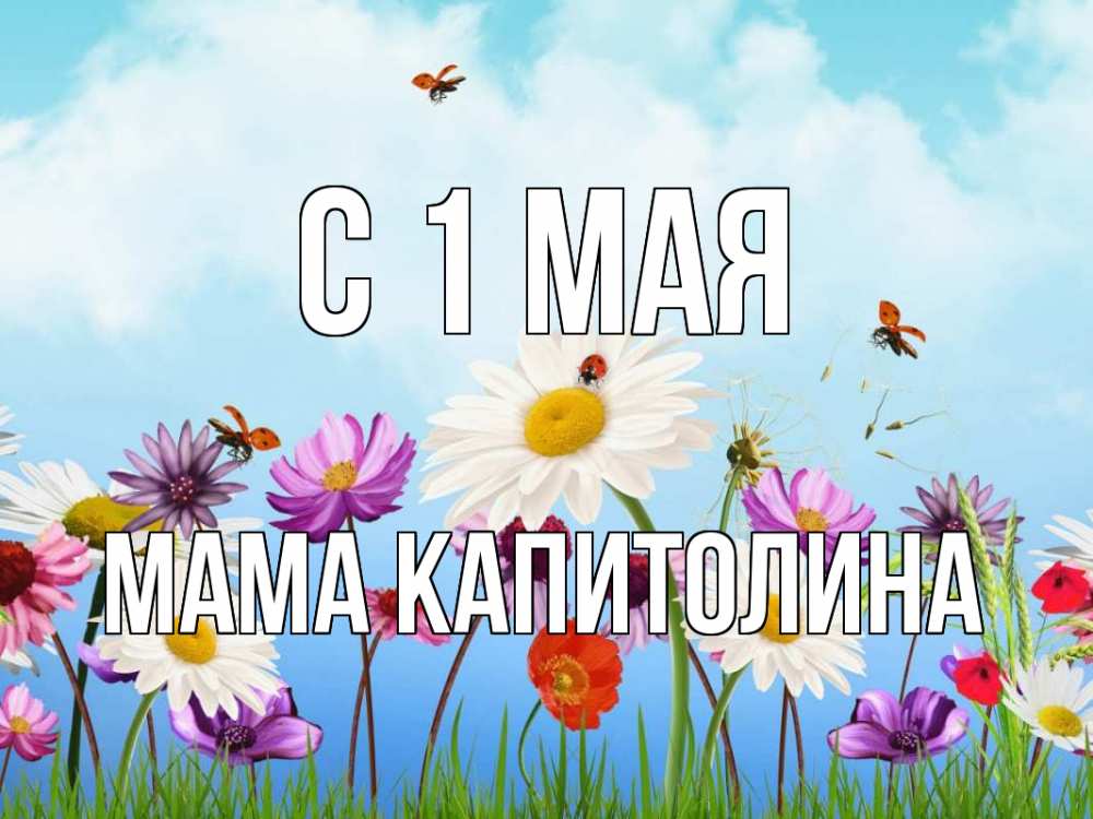 Открытка на каждый день с именем, Мама-Капитолина С 1 мая С 1 мая Прикольная открытка с пожеланием онлайн скачать бесплатно 