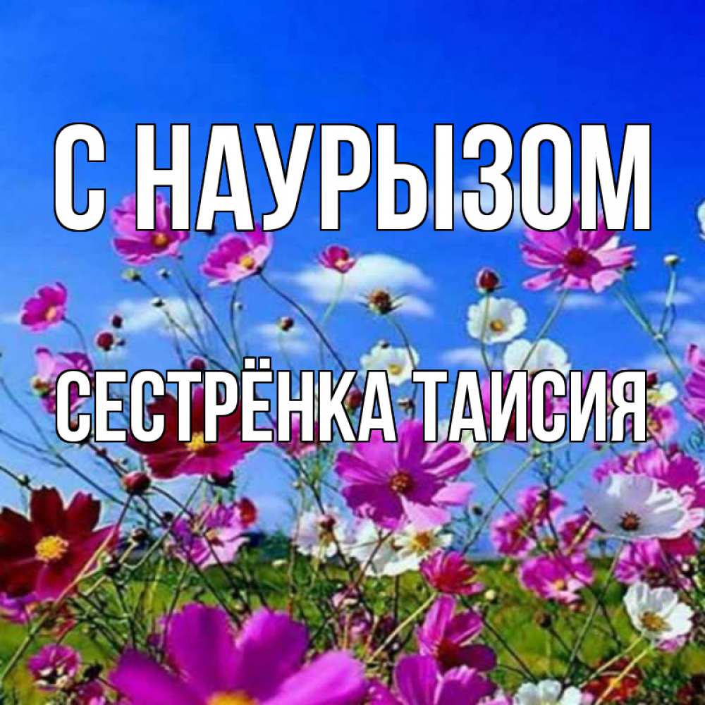 Открытка на каждый день с именем, Сестрёнка-Таисия С наурызом цветы Прикольная открытка с пожеланием онлайн скачать бесплатно 