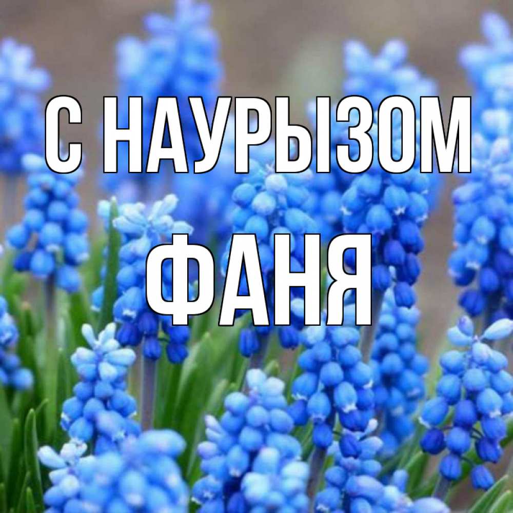 Открытка на каждый день с именем, Фаня С наурызом Поздравительная открытка для женщин с цветами на праздничную дату Прикольная открытка с пожеланием онлайн скачать бесплатно 