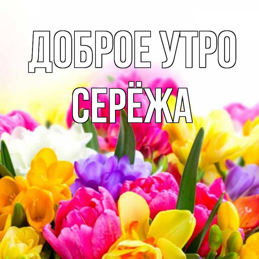 Доброе утро сереженька картинки