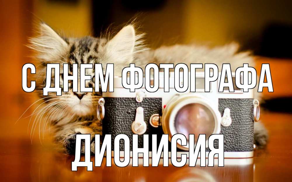 Открытка на каждый день с именем, Дионисия С днем фотографа с днем фотографа Прикольная открытка с пожеланием онлайн скачать бесплатно 