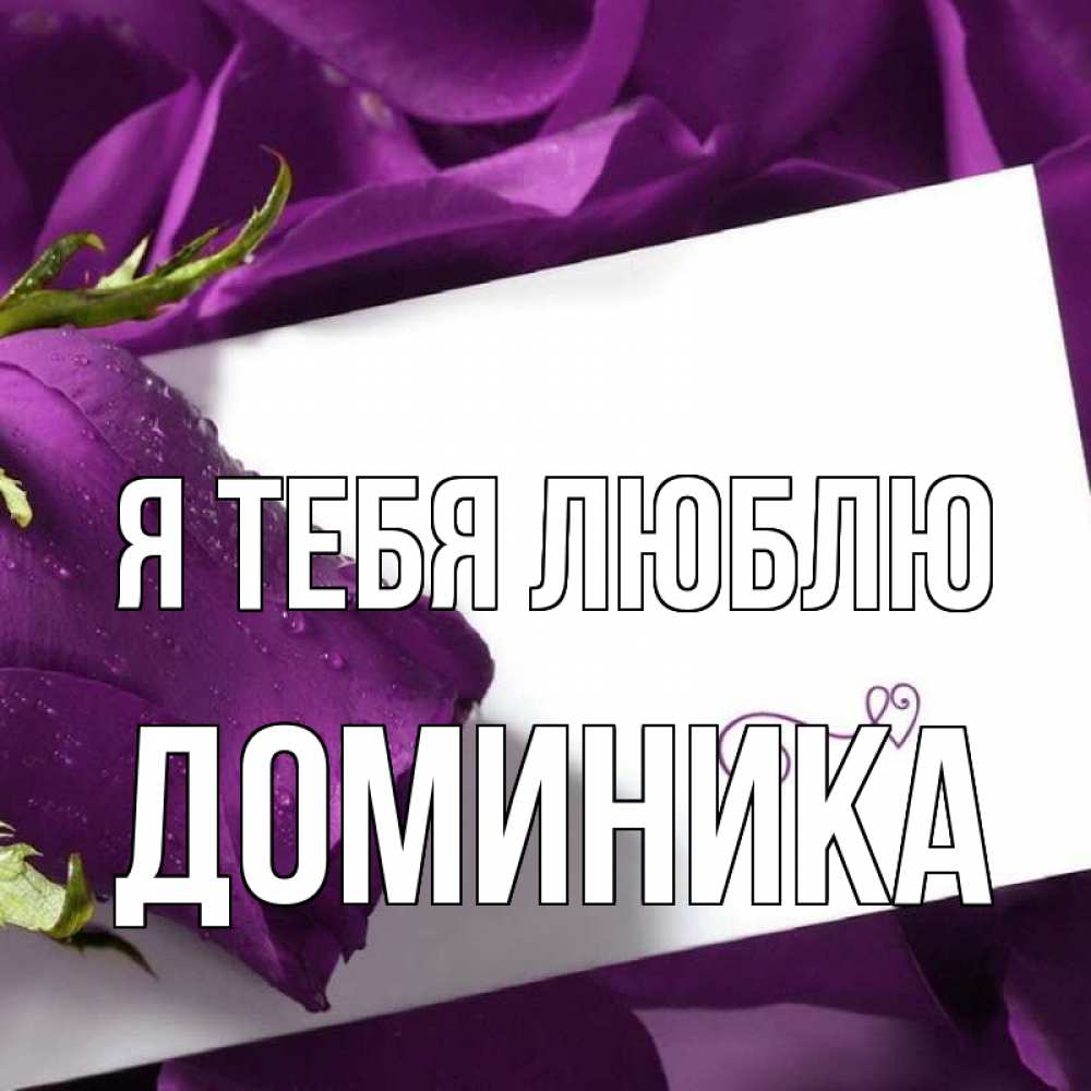 Открытка на каждый день с именем, Доминика Я тебя люблю роза Прикольная открытка с пожеланием онлайн скачать бесплатно 